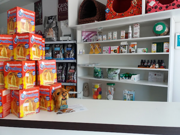 Foto 2 Banho e tosa Cão Amigo