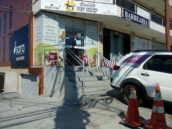 Foto 3 Banho e tosa Cão Amigo Foto 3 Banho e tosa Cão Amigo