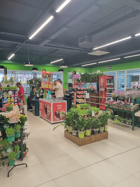 Foto 1 Cobasi Barreiros