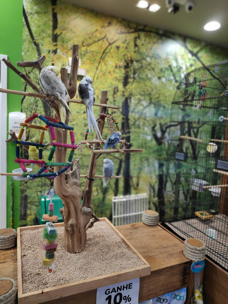 Foto 2 Cobasi Barreiros