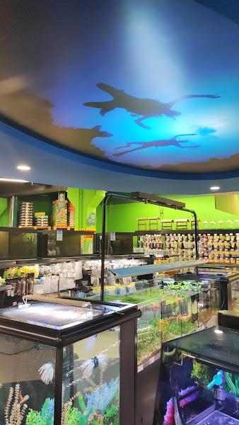 Foto 3 Cobasi Barreiros