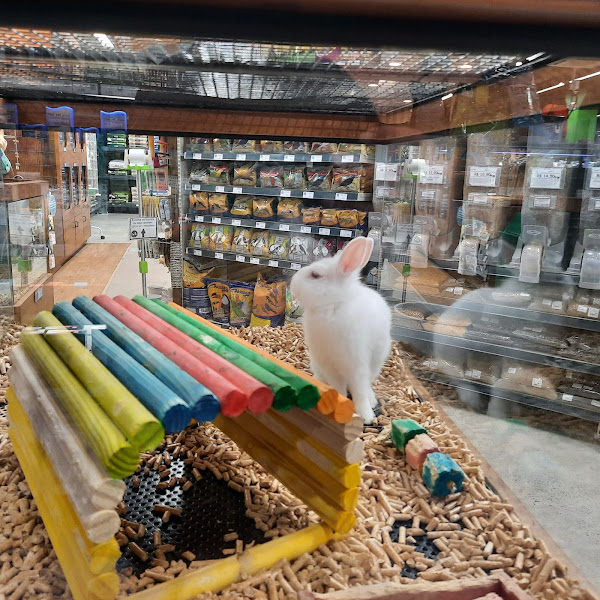 Foto 2 Cobasi Continente Shopping