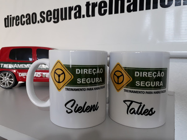 Foto 2 DIREÇÃO SEGURA Treinamento e Apoio aos Condutores Habilitados / PCD