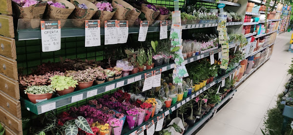 Foto 4 Balaroti Barreiros