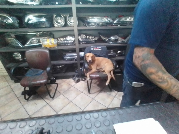 GALPÃO BR AUTO PEÇAS
