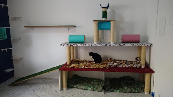 Foto 2 Toca Do Urso Pet Shop - Hospedagem e Creche