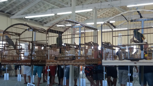 Marcenaria Raízes Do Alferes