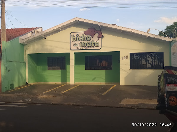 Foto 1 Bicho da Mata