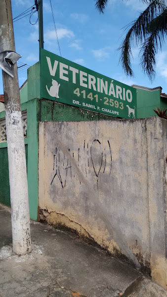 Foto 1 Clínica Veterinária