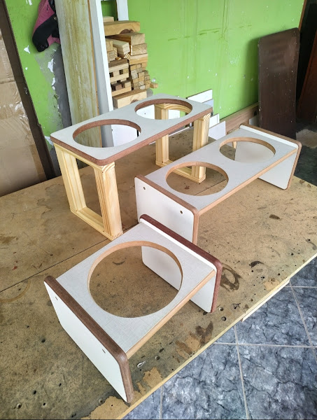 Foto 2 Oficina Fênix