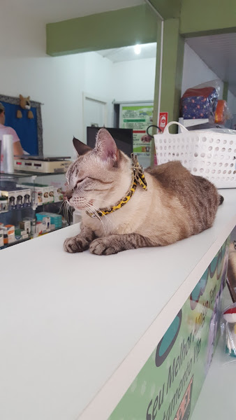 Foto 3 Pet Shop da Paty (Loja 1)