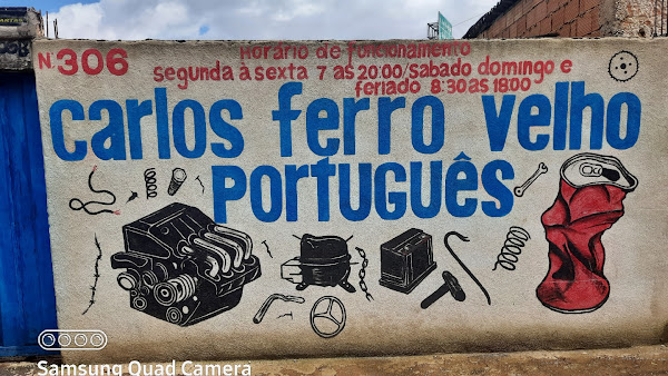Carlos Ferro Velho Português