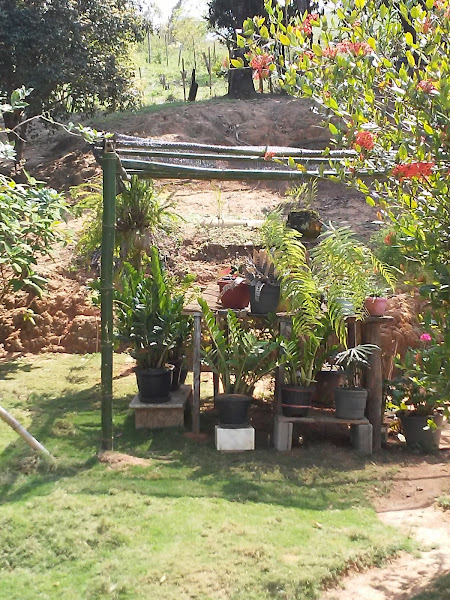 Foto 1 ZZ HOUSE Foto 1 ZZ HOUSE