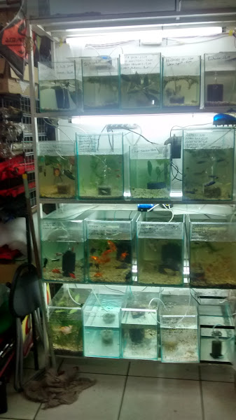 Foto 2 Toca da Ração