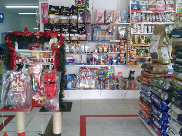 Foto 1 Pet Coração