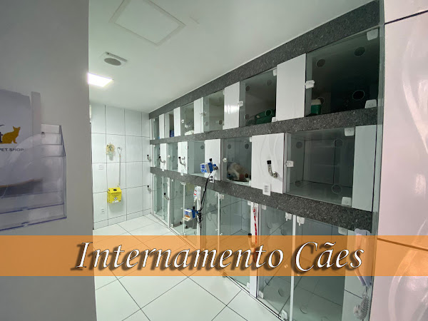 Multvet Clínica Veterinária 24 horas