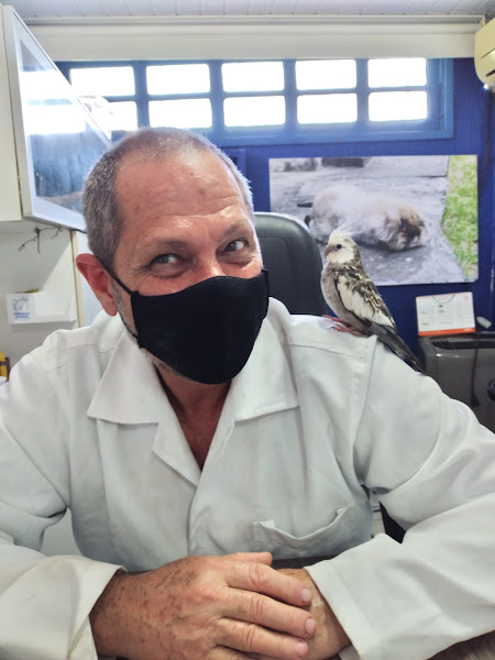 Foto 4 Clínica Veterinária Vilas do Atlântico