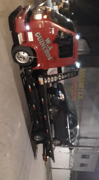 Foto 4 Guincho Palhoça