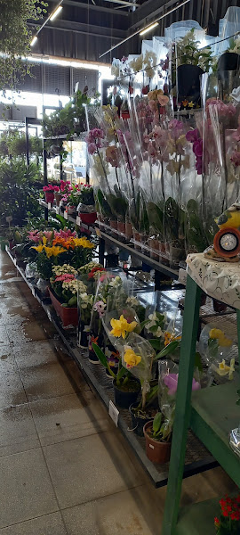 Foto 1 Sodimac Dicico - Itú