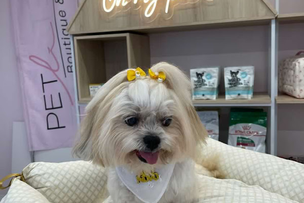 Foto 2 Pet Li Boutique & Spa