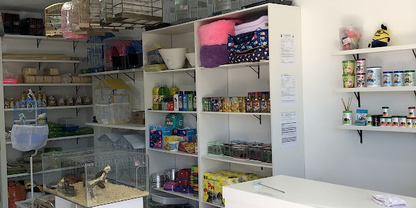 Foto 2 Casa dos bichos