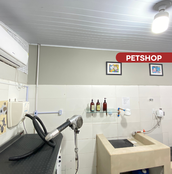 Foto 4 Eluma | Clínica Veterinária E Petshop Balneário Camboriú