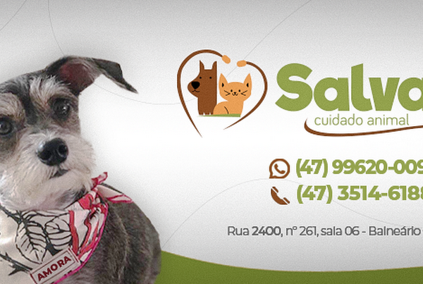 Foto 3 Salvare Cuidado Animal