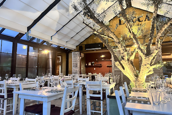 Foto 1 Lucca Cantina