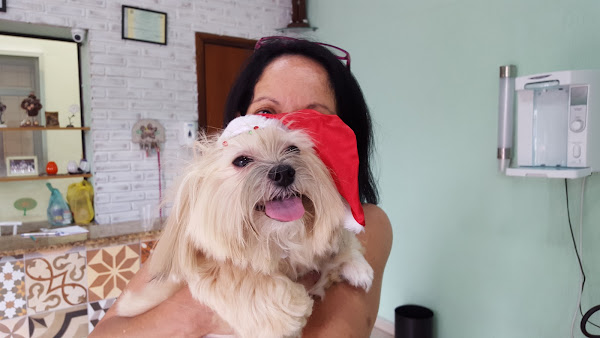 Clínica Veterinária Naya