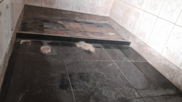 Pet Hug - Adestramento e Estética Canina