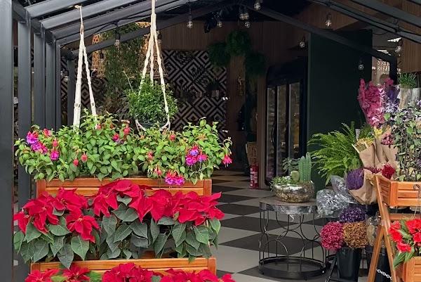 Foto 2 Kirosa Floricultura