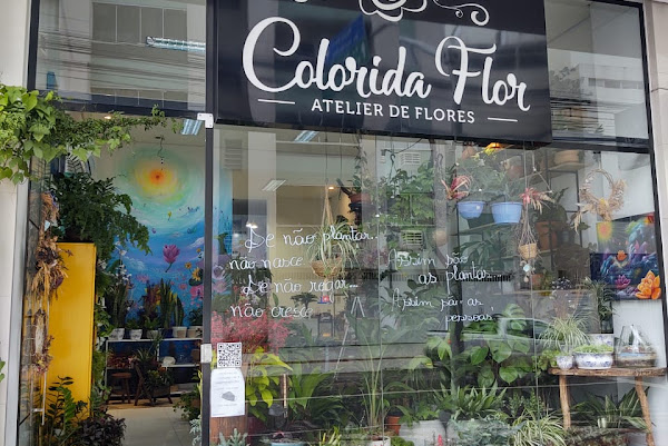 Floricultura Colorida Flor Floricultura Colorida Flor