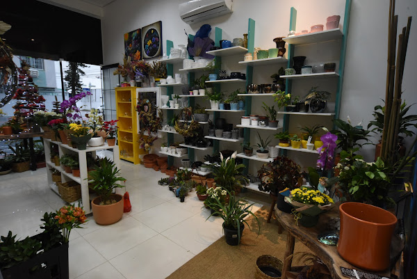 Foto 2 Floricultura Colorida Flor