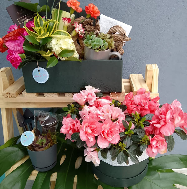 Foto 2 Floricultura Flor de Lís