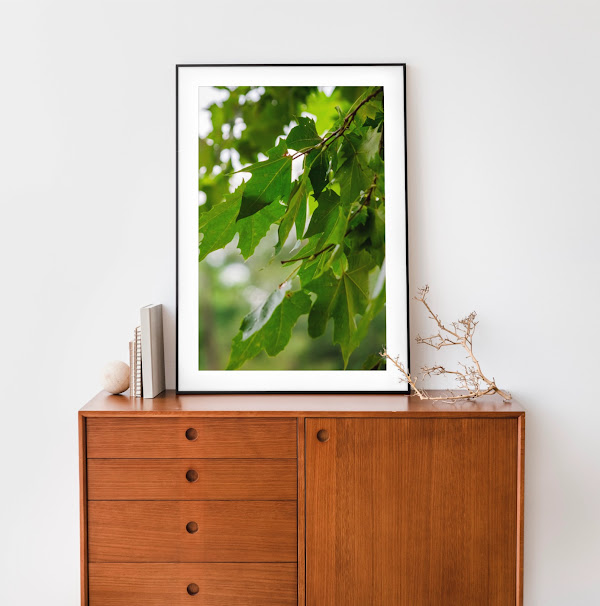 Foto 2 Studio willker/ Quadros / Fine ART/ Fotografias