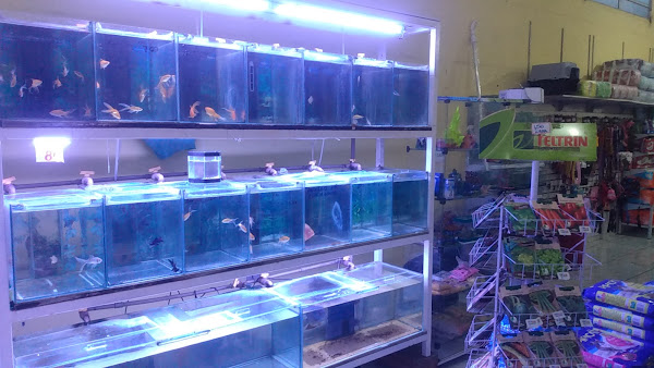 Foto 3 Casa de Ração e Pet Shop São Luiz