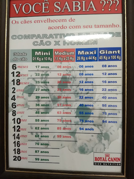 Foto 3 Clínica Veterinária Nilópolis