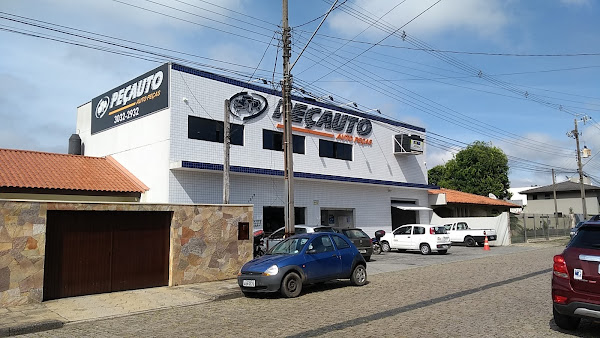 Peçauto Autopeças