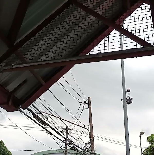 Foto 3 Grupo Pierre Souza