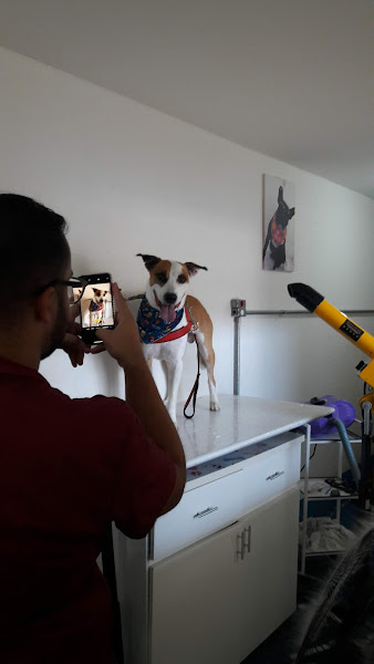 Foto 4 RP Atacadão da Ração