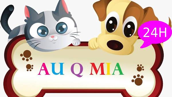 Au Q Mia Clinica Veterinaria