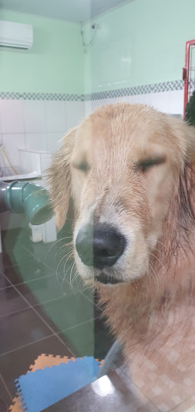 Foto 2 Au Q Mia Clinica Veterinaria