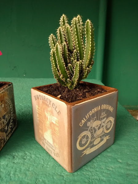 Foto 4 Agrotiba - Agricultura Urbana, Farmácia e Pet Shop