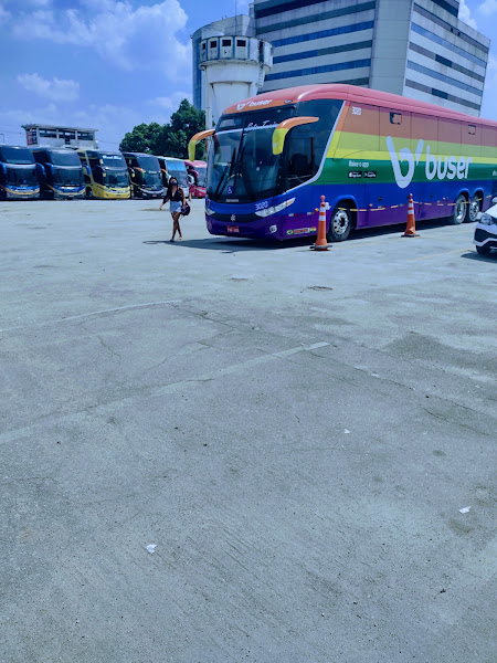 Foto 5 Buser Embarque São Paulo Tietê