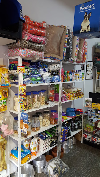 Foto 1 Planeta do Bichos