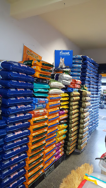 Foto 2 Planeta do Bichos