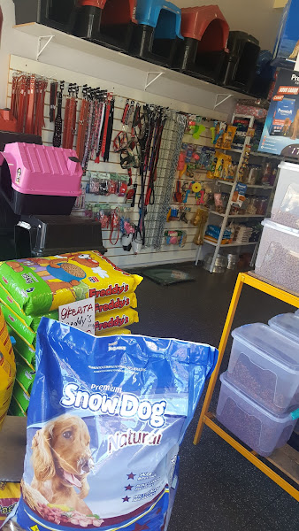 Foto 3 Planeta do Bichos