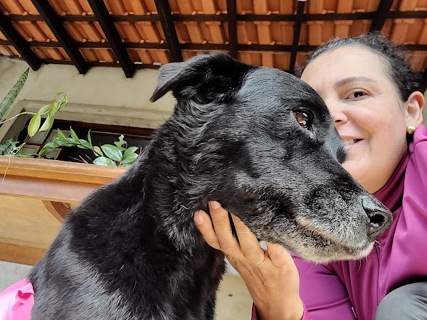 Nipon Pet & Hospital 24hr