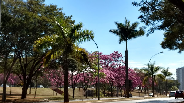 Foto 4 Estação 102 Sul