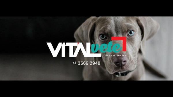 Vitalvete Clínica Veterinária Vitalvete Clínica Veterinária